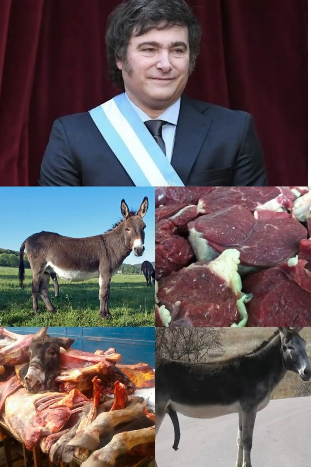 CRISIS DE MILEY OBLIGA A LOS ARGENTINOS A CONSUMIR CARNE DE BURRO Y CABALLO